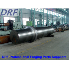 Forging Shaft (Large axis forging Gear forgings)